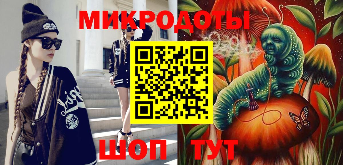 Галлюциногенные грибы Psilocybe Кубинка