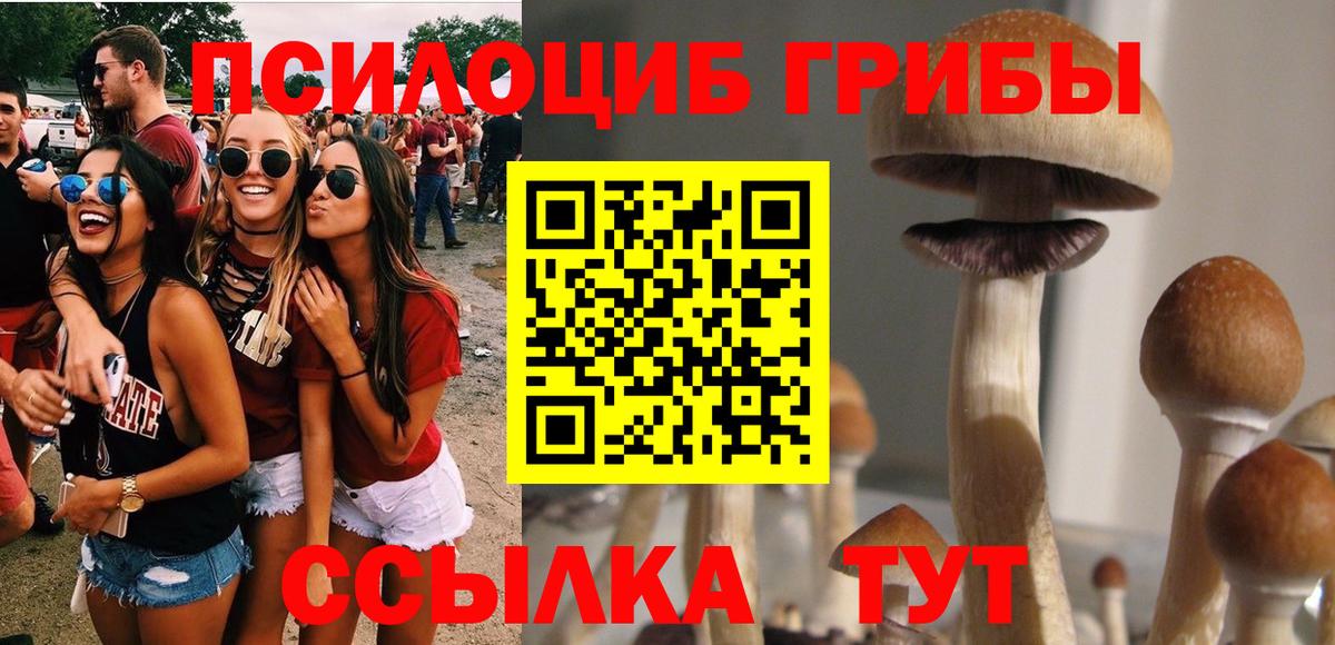 Кубинка  где купить наркоту  Вход с VPN  Псилоцибиновые грибы Psilocybe 